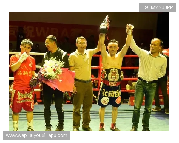 世界拳击协会调查假拳案：金额超千万美元