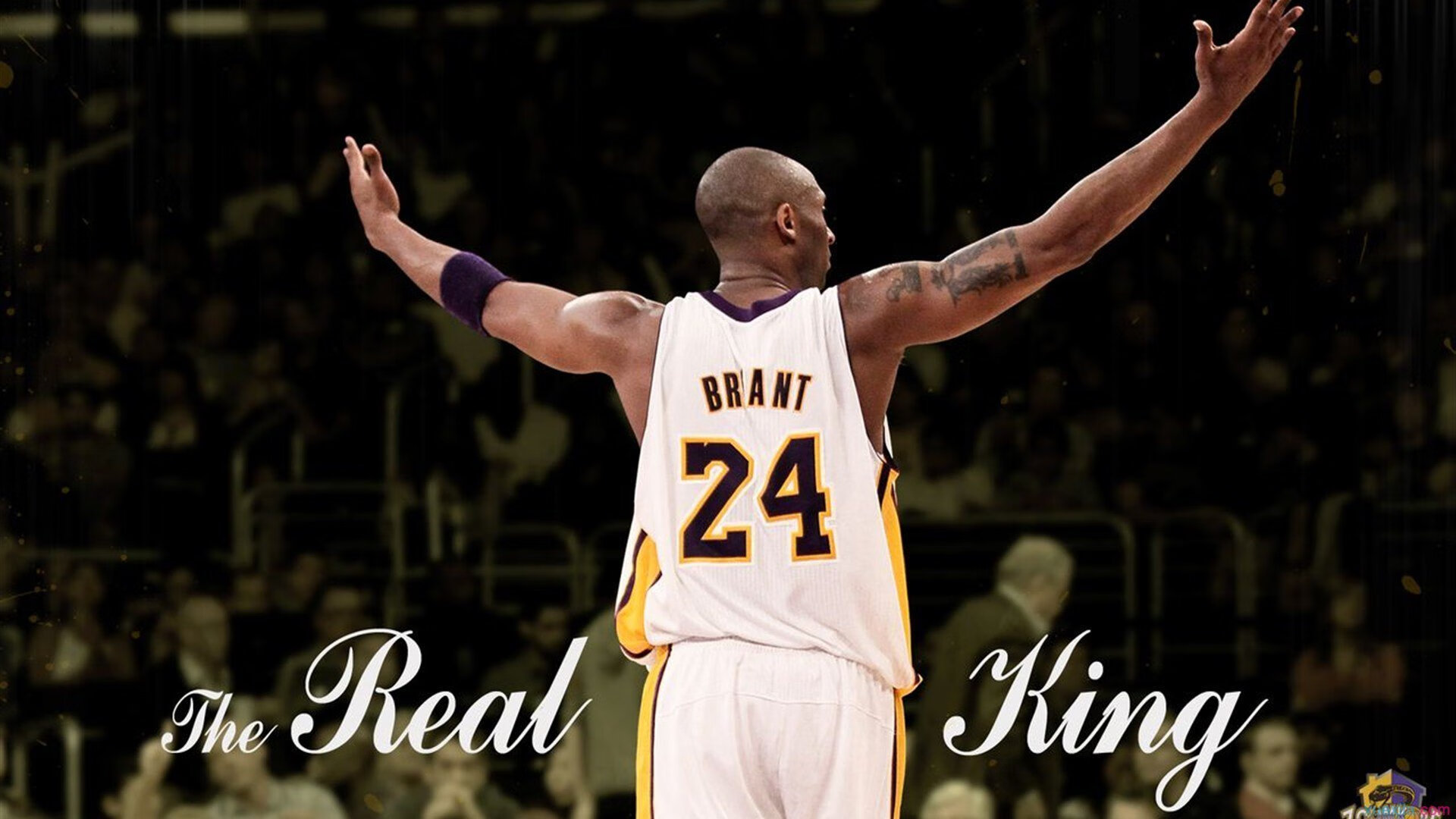 爱游戏全站注册-NBA球员专项力量训练与伤病预防研究，篮球专项力量