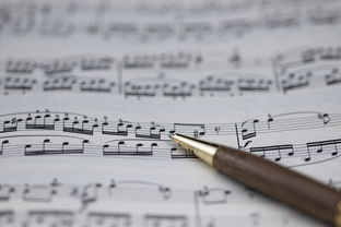 ayx爱游戏官网-NBA球员职业规划建议与实施，nba球员怎么规划锻炼和训练